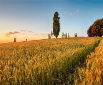 Jednodňový prímestský tábor - 18.7.2015