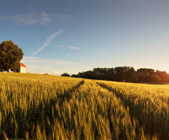 Jednodňový prímestský tábor - 18.7.2015