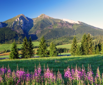 Jednodňový prímestský tábor - 18.7.2015