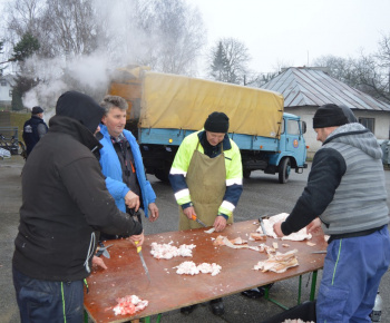 ŠČEVICATOUR 2016