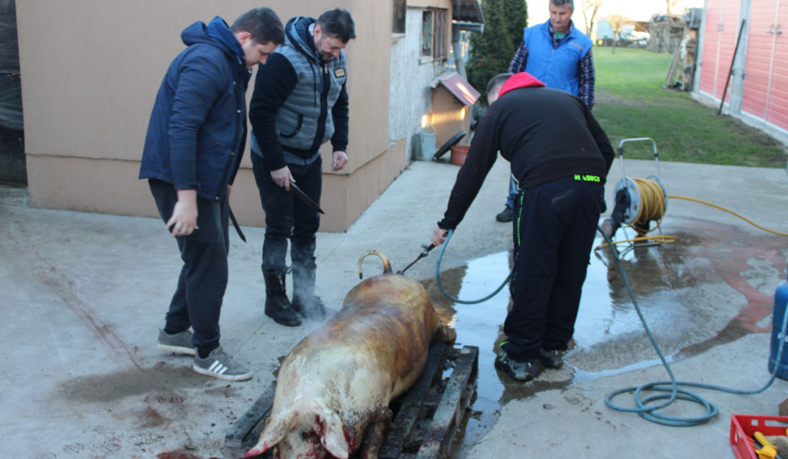 Zobraziť fotografiu