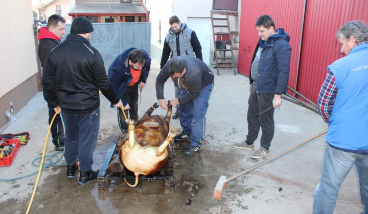 Zobraziť fotografiu
