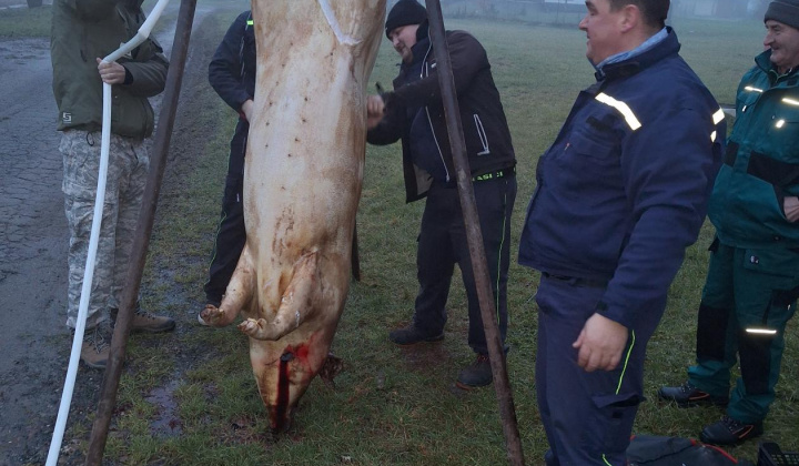 Zobraziť fotografiu